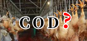 一般雞屠宰廢水COD在多少？