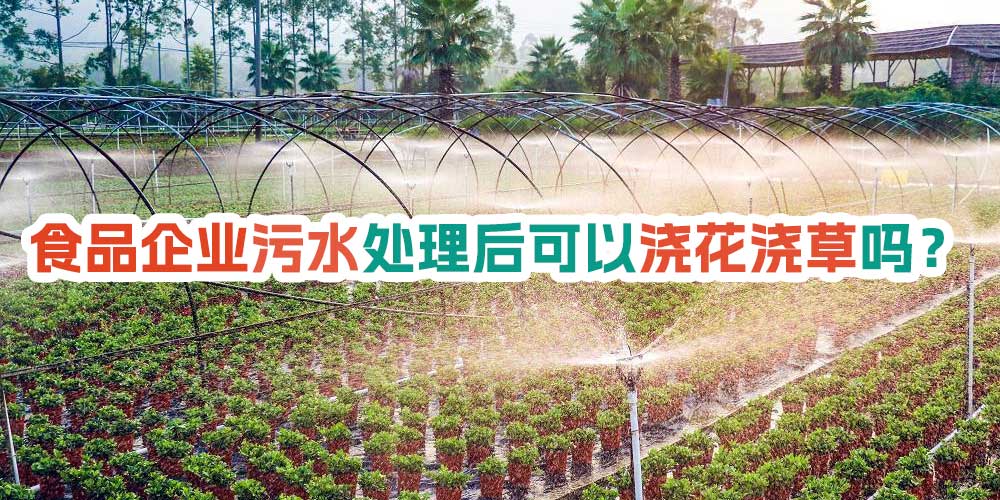 食品企業(yè)污水處理后可以澆花澆草嗎？