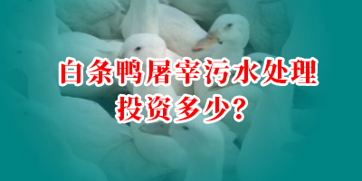 白條鴨屠宰污水處理投資多少？