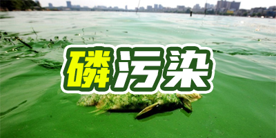 含磷廢水有什么特點？哪種除磷方法成本比較低？