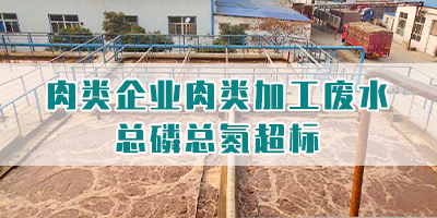 肉類企業(yè)肉類加工廢水總磷總氮超標(biāo)怎么處理？